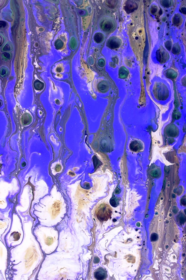 pexels-diva-34146390